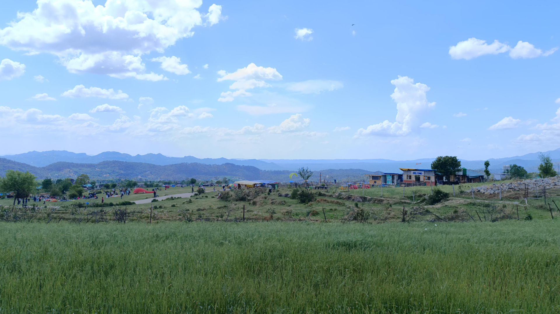 Green fields and valley view from the Bir-Billing landing site